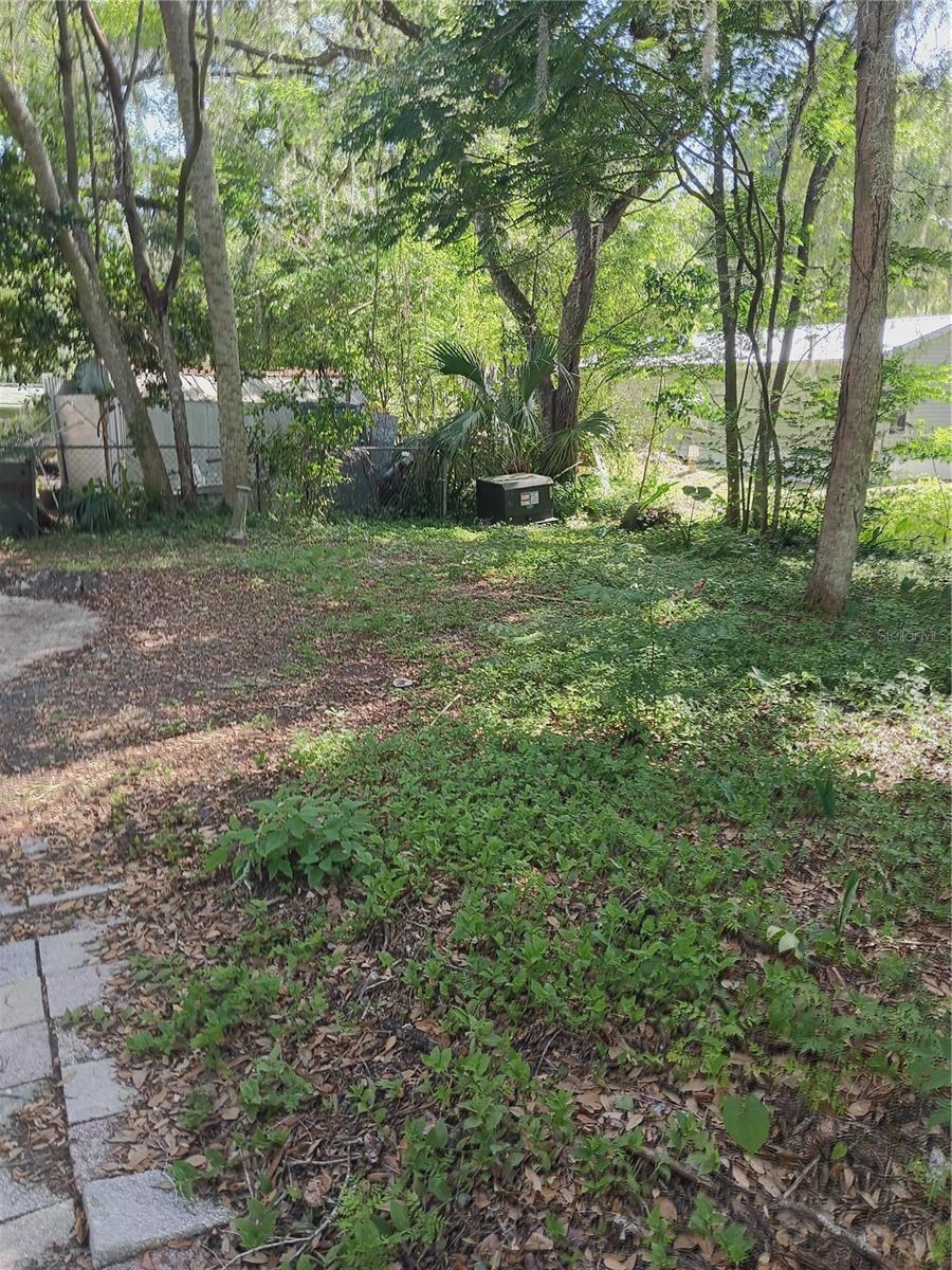 3128 CR 418, LAKE PANASOFFKEE, FL, 33538