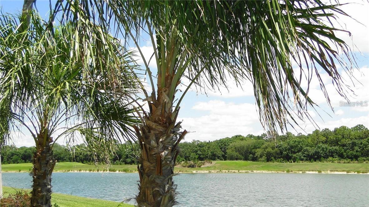 16804 VARDON TER #105, BRADENTON, FL, 34211