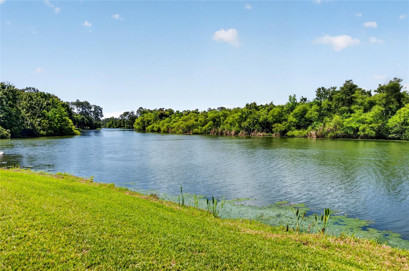 24 BIRCHWOOD PL, PALM COAST, FL, 32137