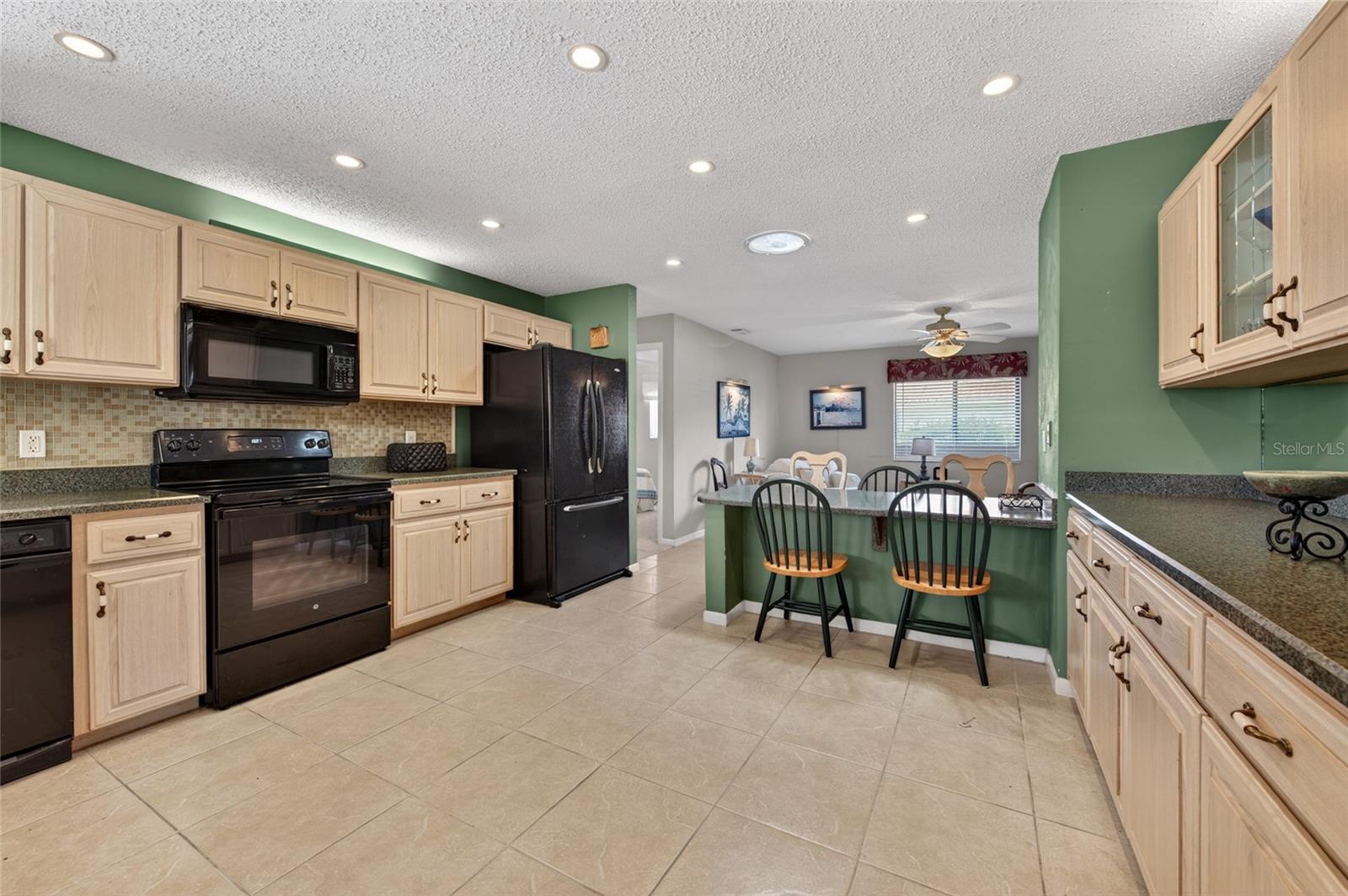 24 BIRCHWOOD PL, PALM COAST, FL, 32137