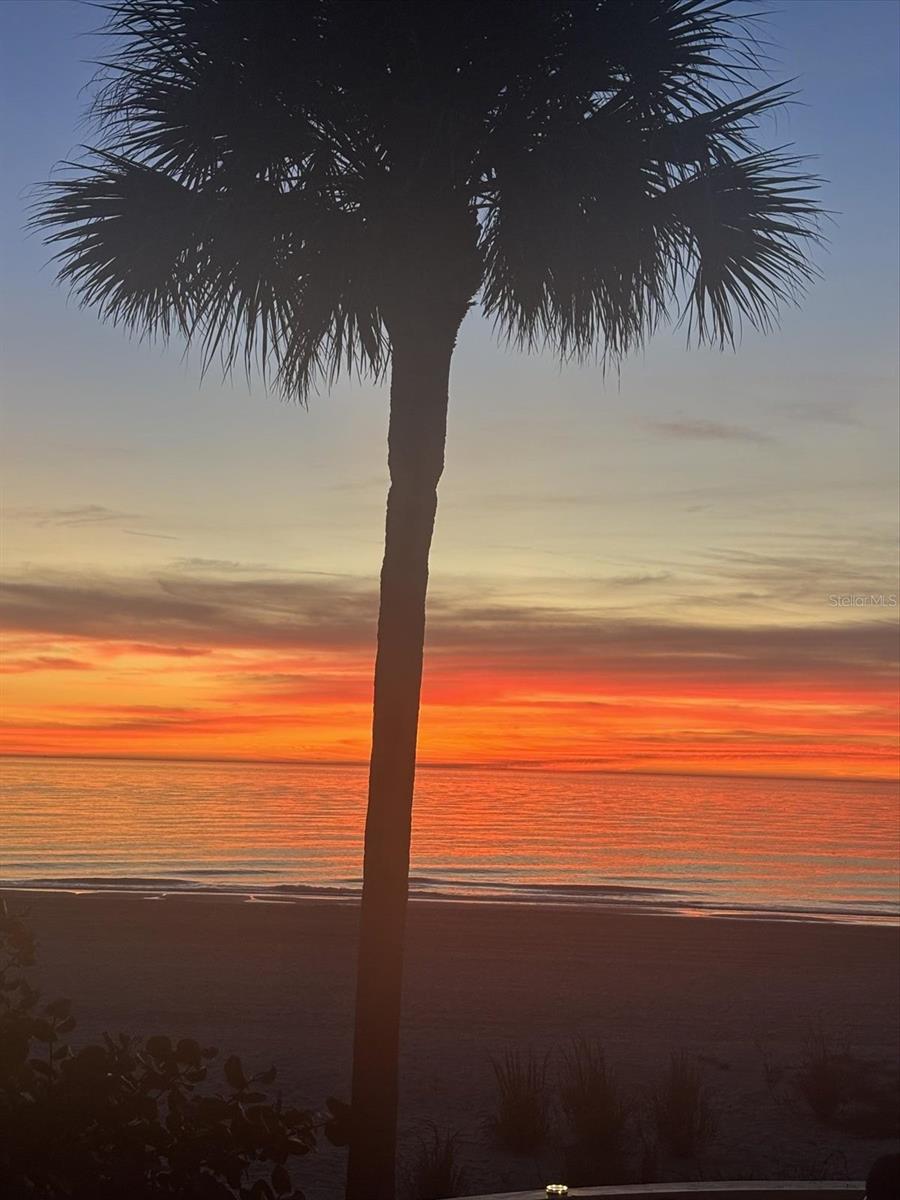 8640 W GULF BLVD, TREASURE ISLAND, FL, 33706