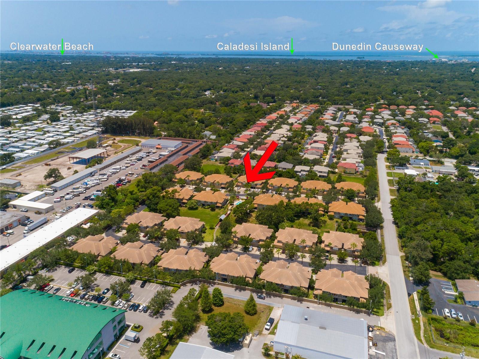 3326 COVERED BRIDGE DR W, DUNEDIN, FL, 34698