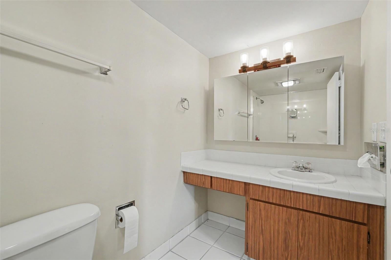 13507 PALMWOOD LN #13507, TAMPA, FL, 33618