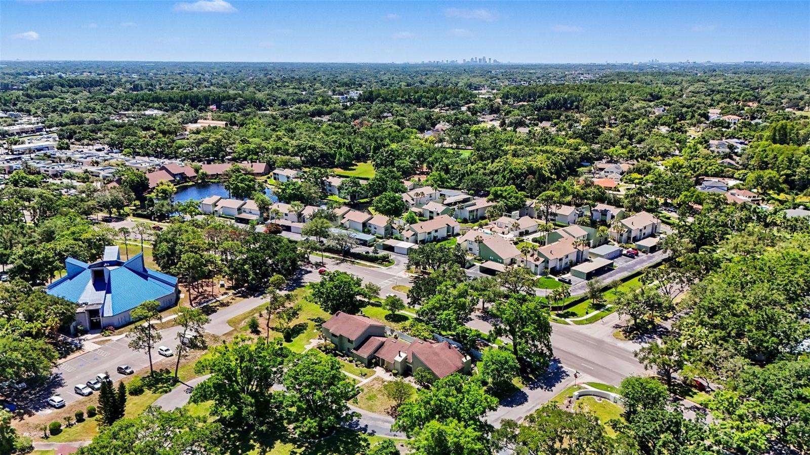 13507 PALMWOOD LN #13507, TAMPA, FL, 33618