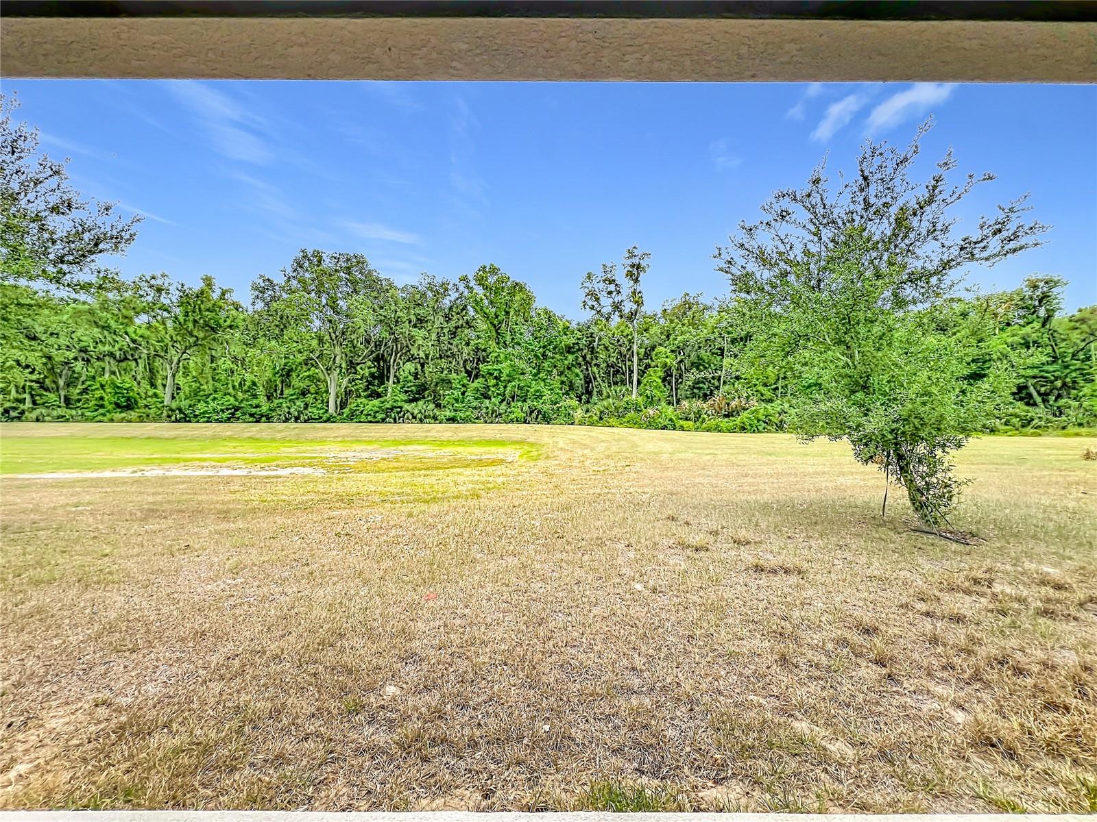 20029 ROYAL TERN CT, LEESBURG, FL, 34748