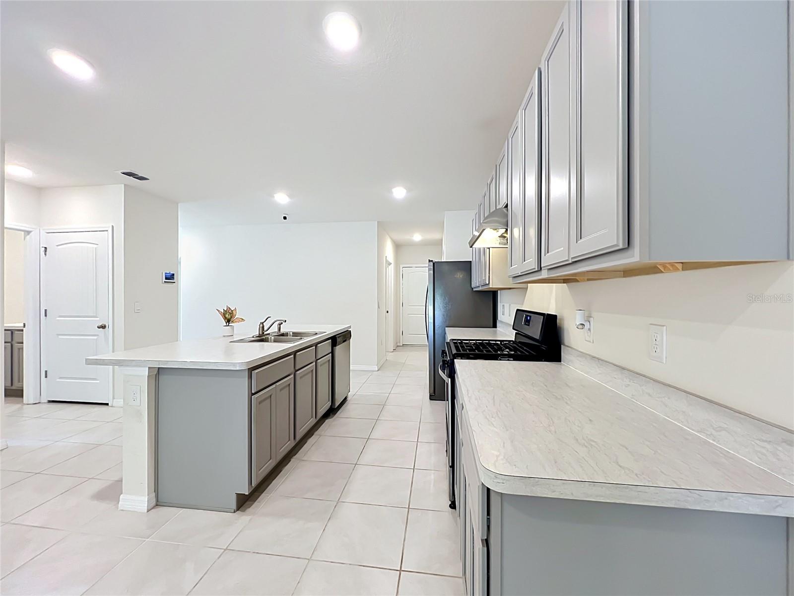 20029 ROYAL TERN CT, LEESBURG, FL, 34748