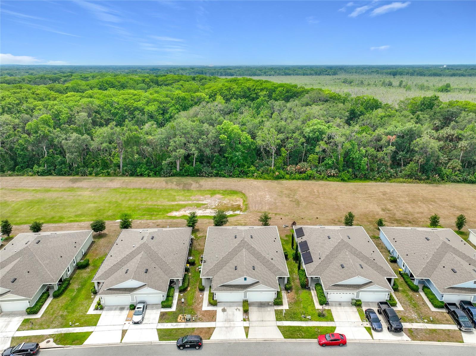 20029 ROYAL TERN CT, LEESBURG, FL, 34748
