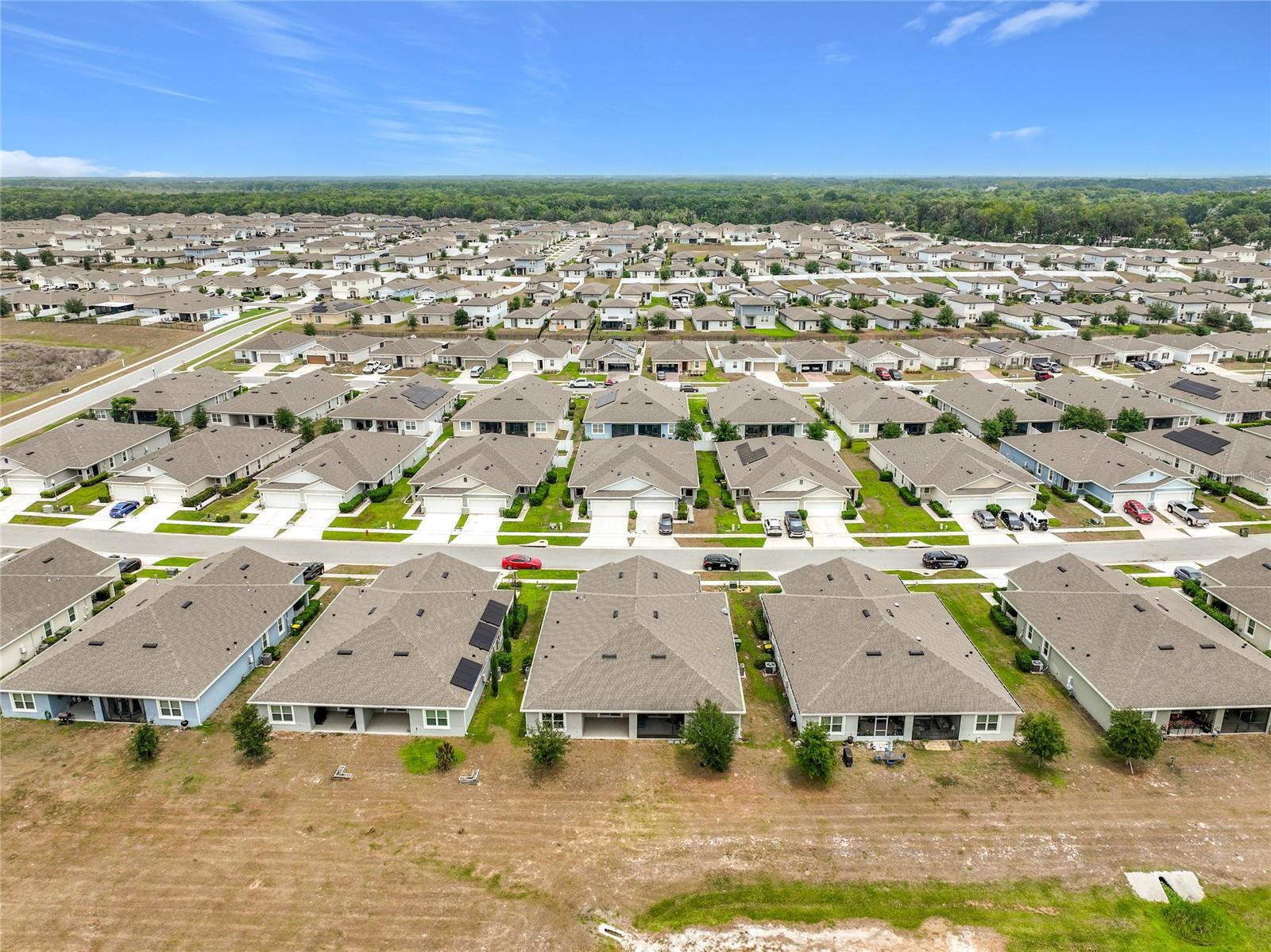 20029 ROYAL TERN CT, LEESBURG, FL, 34748