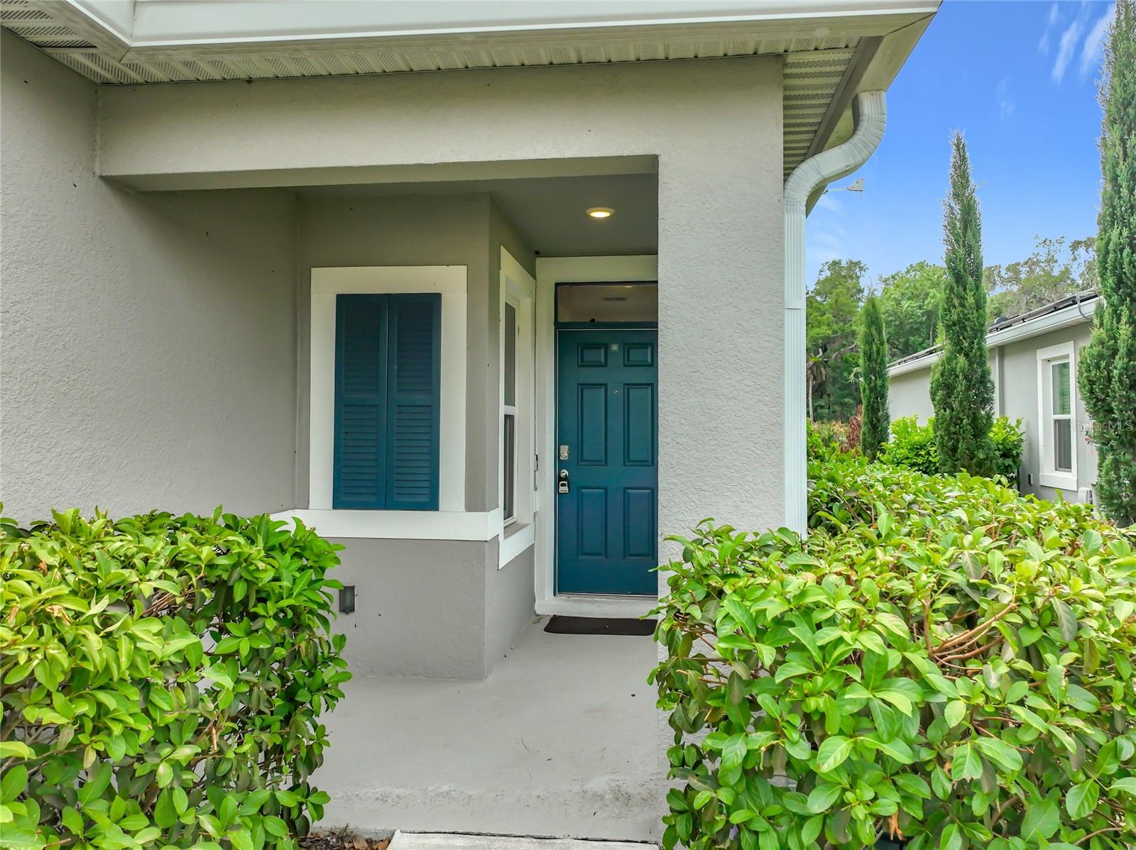 20029 ROYAL TERN CT, LEESBURG, FL, 34748