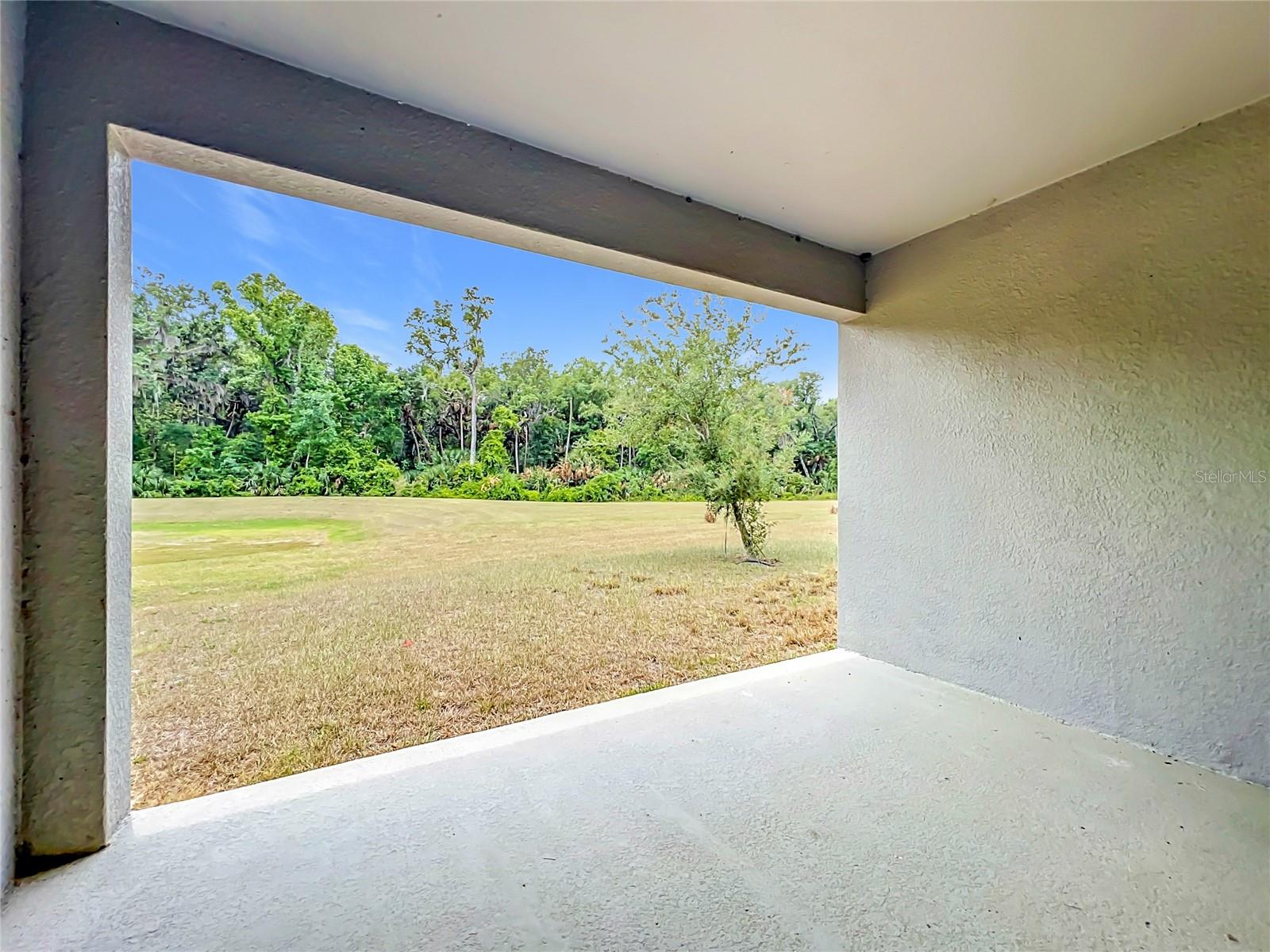 20029 ROYAL TERN CT, LEESBURG, FL, 34748