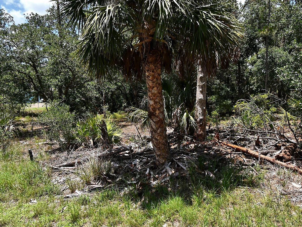 HAWKSBILL AVE, NORTH PORT, FL, 34291