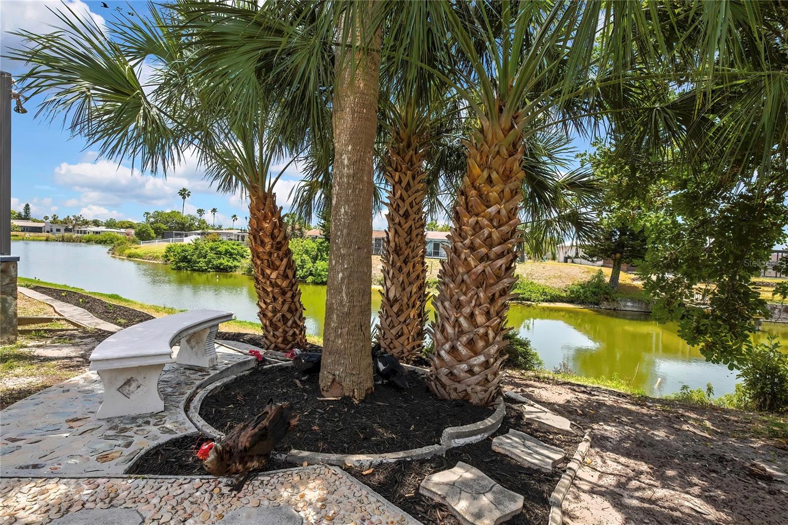 9312 LAKE CHRISTINA LN, PORT RICHEY, FL, 34668