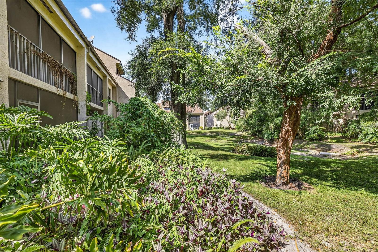 7809 NIAGARA AVE #2105, TAMPA, FL, 33617