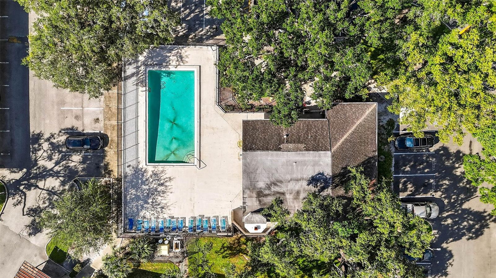 7809 NIAGARA AVE #2105, TAMPA, FL, 33617