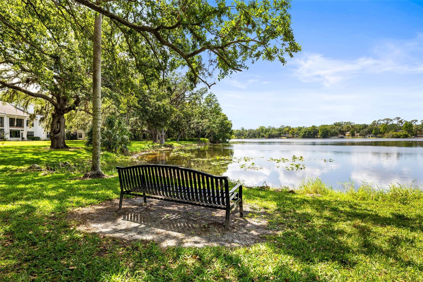 7809 NIAGARA AVE #2105, TAMPA, FL, 33617