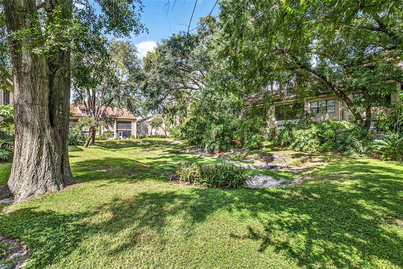 7809 NIAGARA AVE #2105, TAMPA, FL, 33617