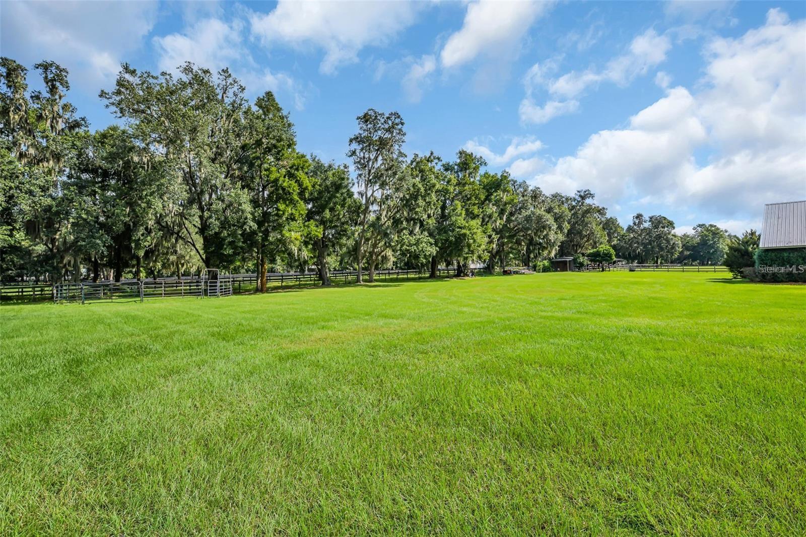 6155 NW 145TH AVE RD, MORRISTON, FL, 32668