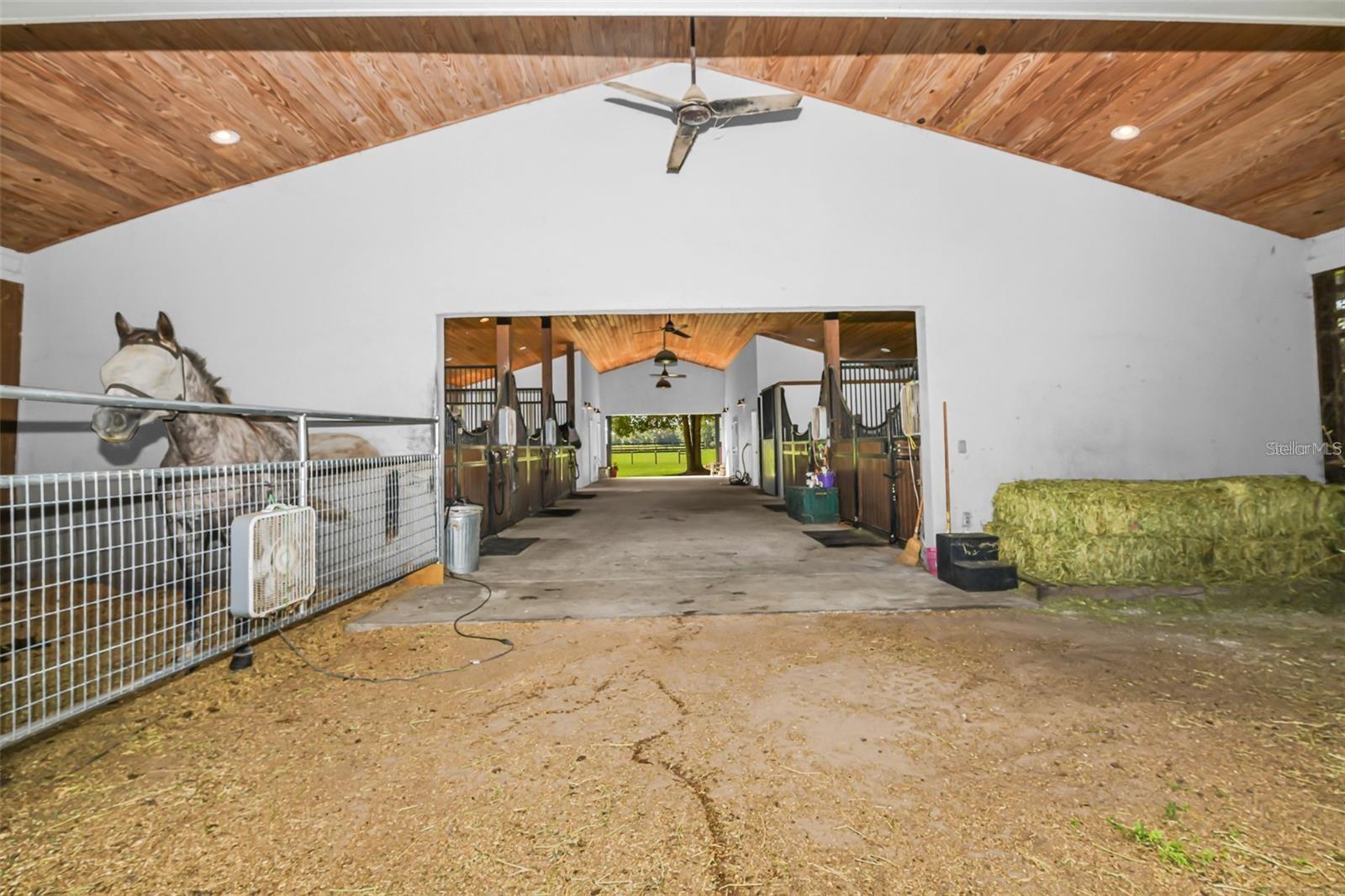 6155 NW 145TH AVE RD, MORRISTON, FL, 32668