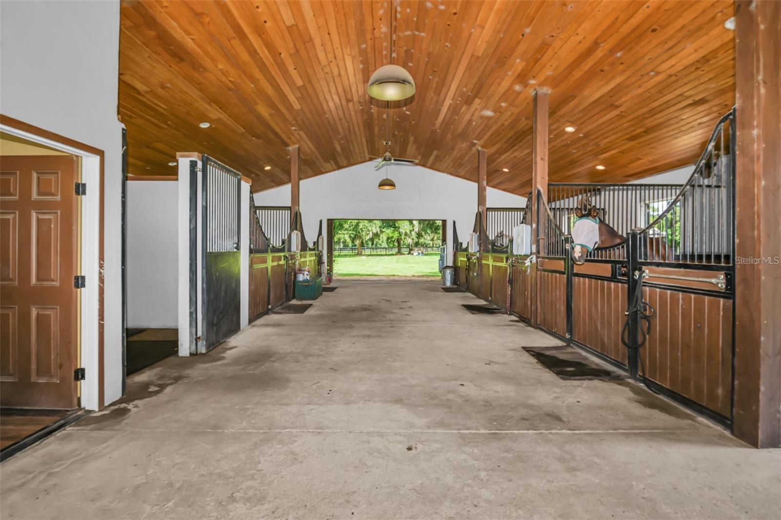 6155 NW 145TH AVE RD, MORRISTON, FL, 32668