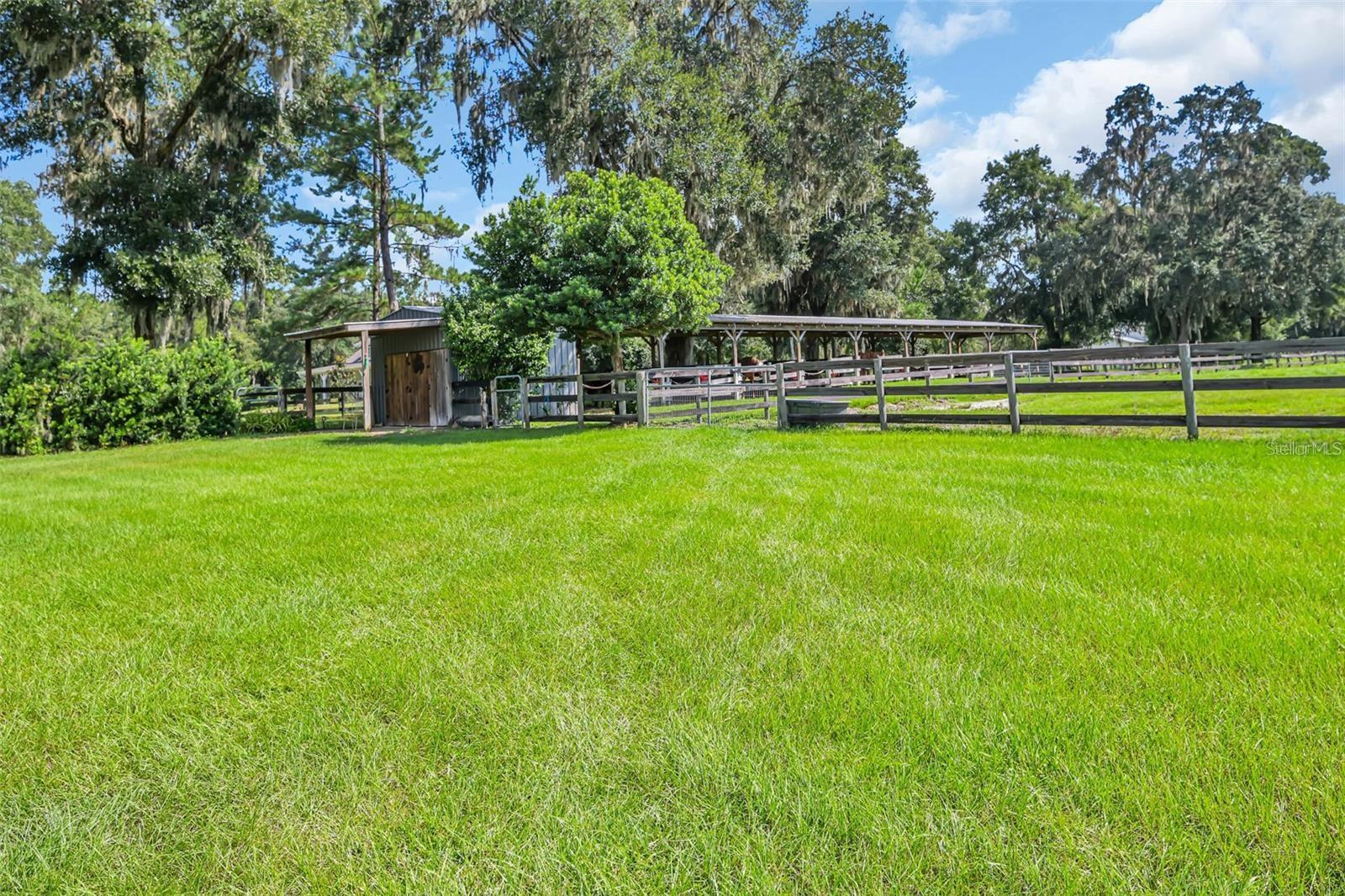6155 NW 145TH AVE RD, MORRISTON, FL, 32668