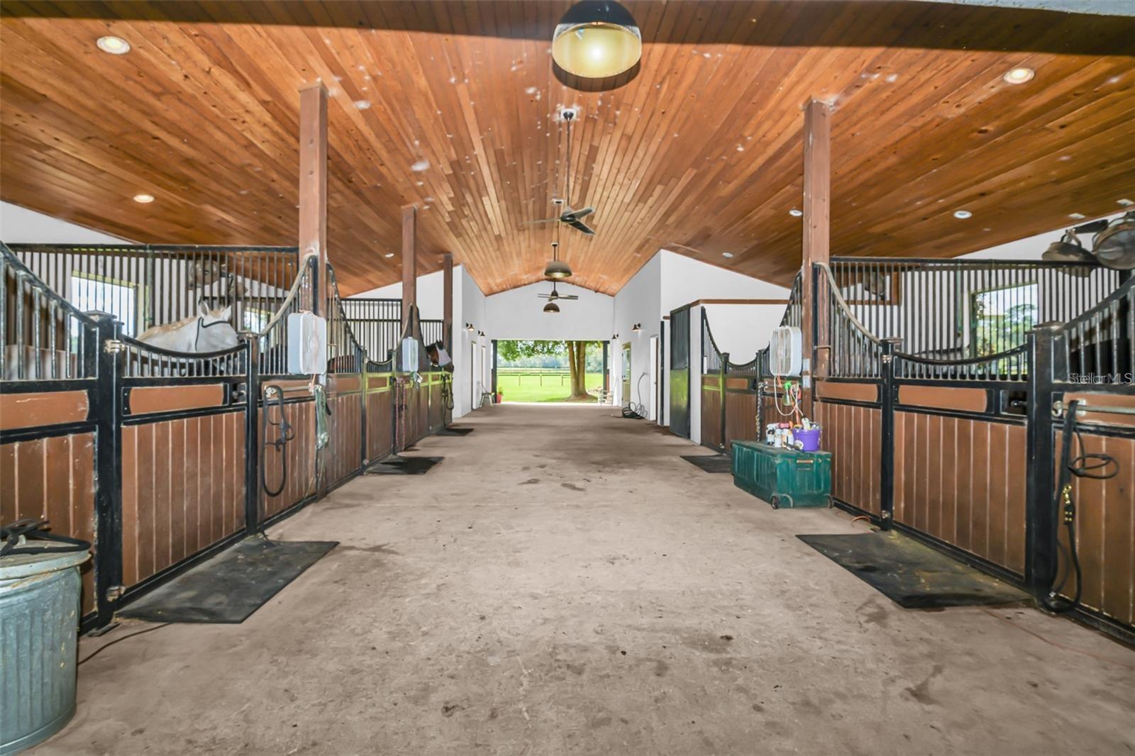 6155 NW 145TH AVE RD, MORRISTON, FL, 32668