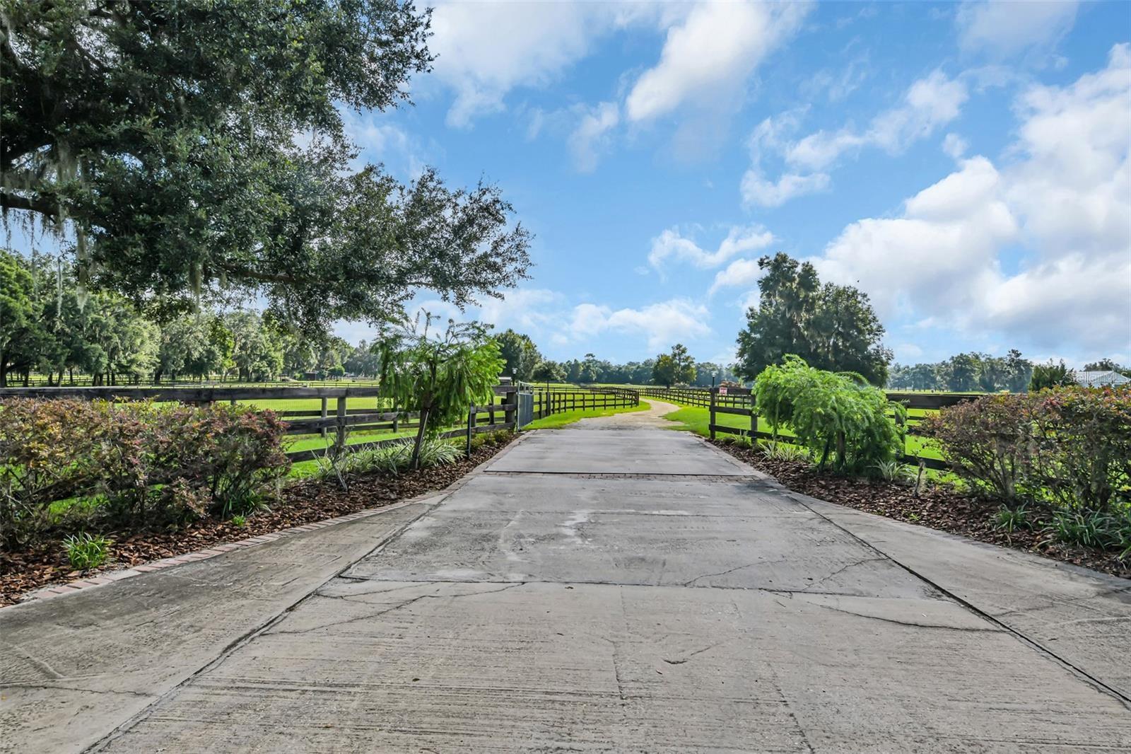 6155 NW 145TH AVE RD, MORRISTON, FL, 32668