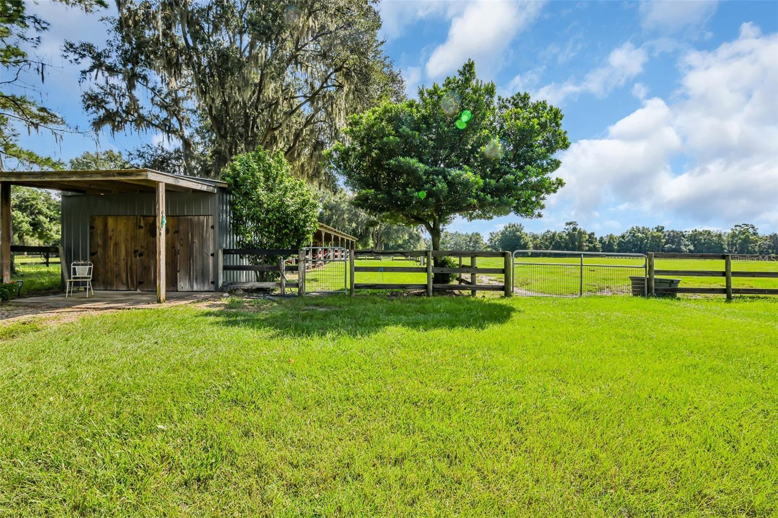 6155 NW 145TH AVE RD, MORRISTON, FL, 32668