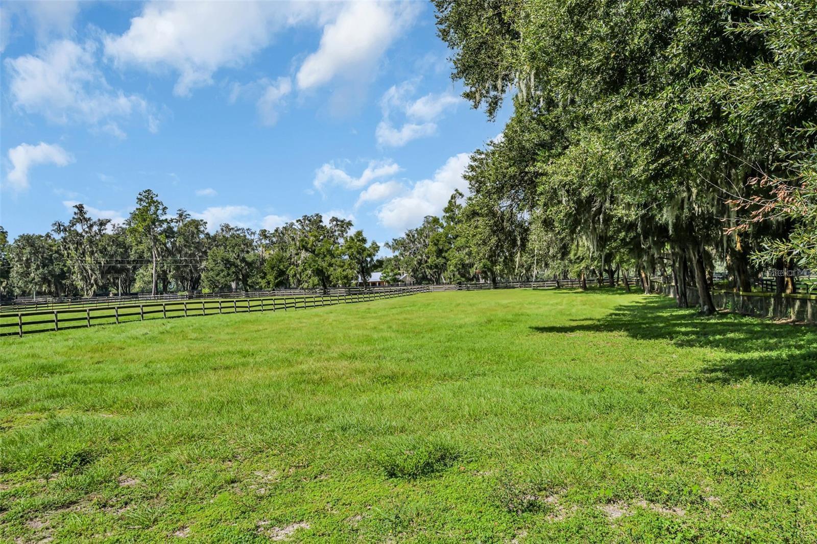 6155 NW 145TH AVE RD, MORRISTON, FL, 32668