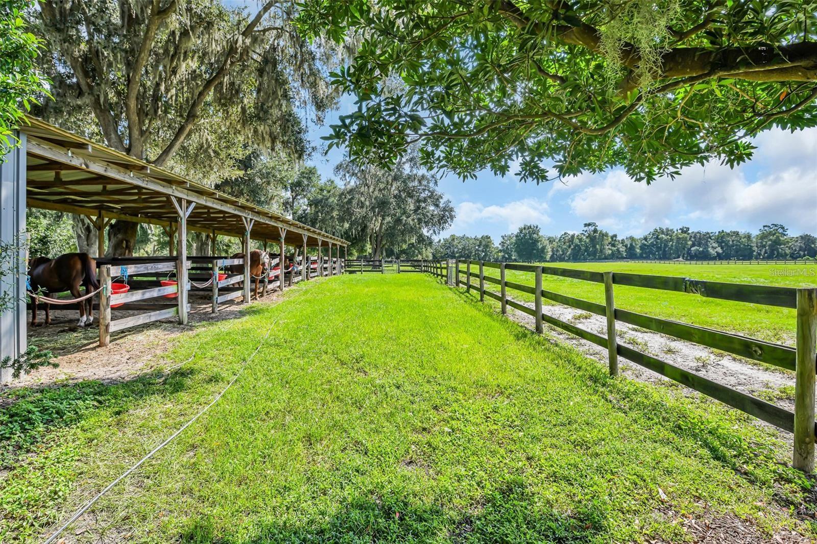 6155 NW 145TH AVE RD, MORRISTON, FL, 32668