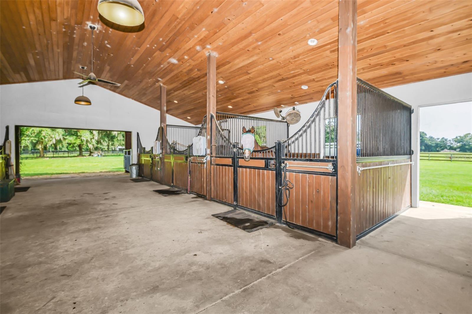 6155 NW 145TH AVE RD, MORRISTON, FL, 32668