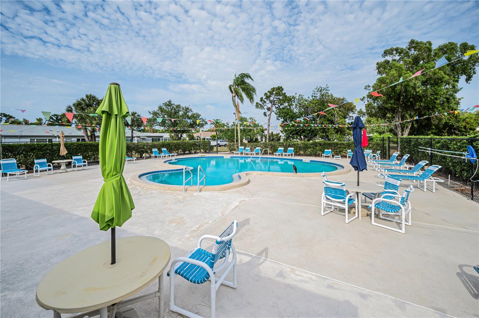 8082 ANNWOOD RD, SEMINOLE, FL, 33777