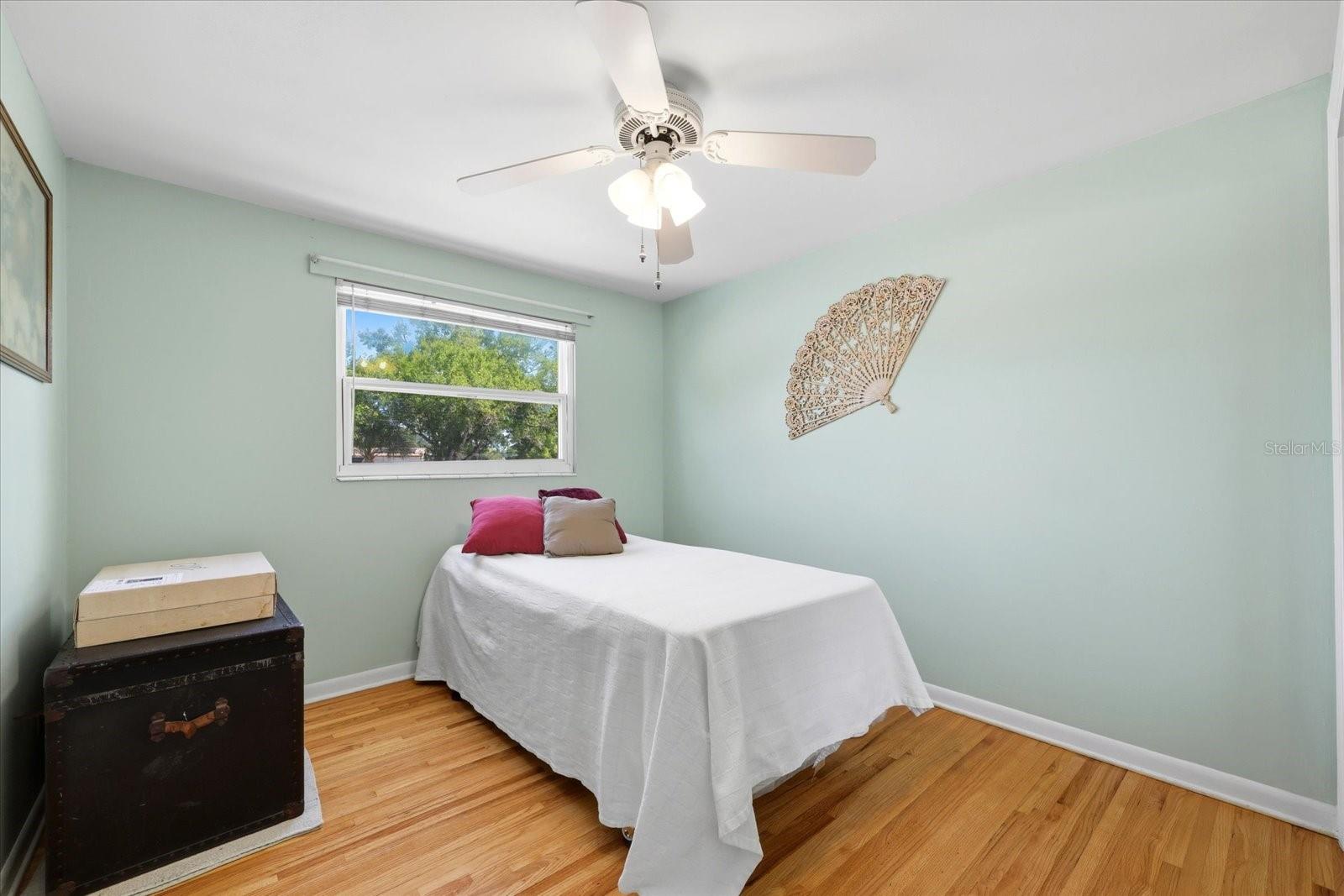 7502 W JEAN ST, TAMPA, FL, 33615