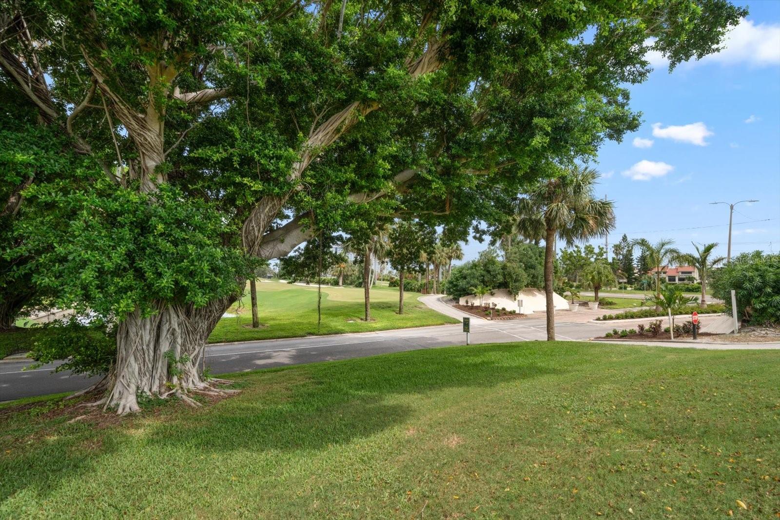 5532 PUERTA DEL SOL BLVD S #138, ST PETERSBURG, FL, 33715