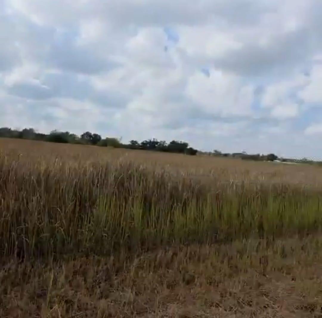 METHENY RD, PARCEL B, WAUCHULA, FL, 33873