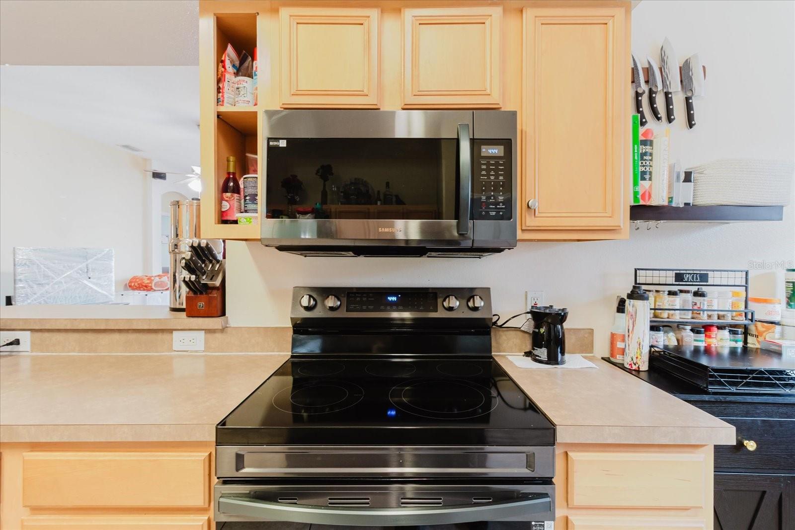 9817 WHITE BARN WAY, RIVERVIEW, FL, 33569