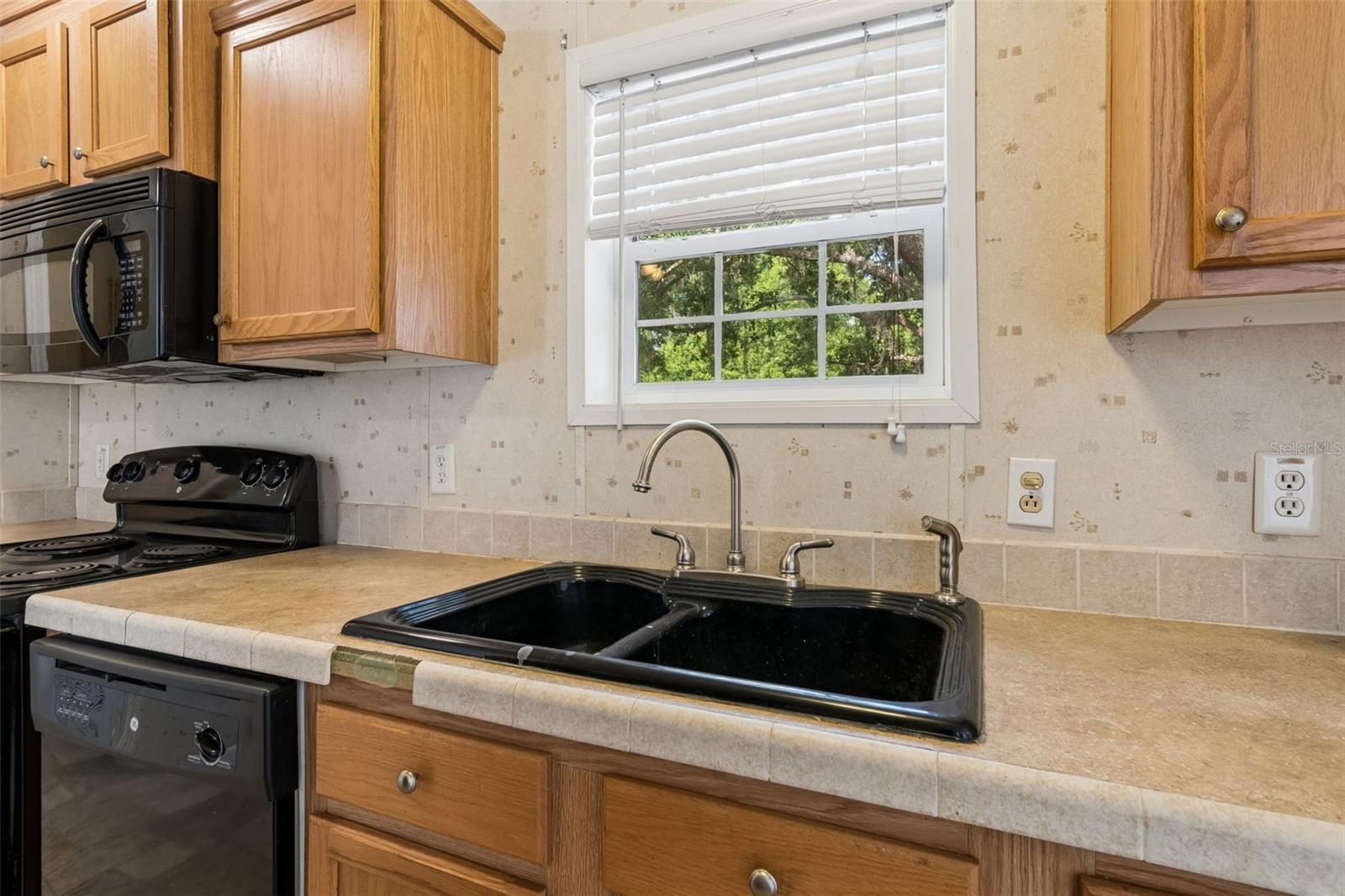 6735 RAVENWOOD ST, WESLEY CHAPEL, FL, 33544