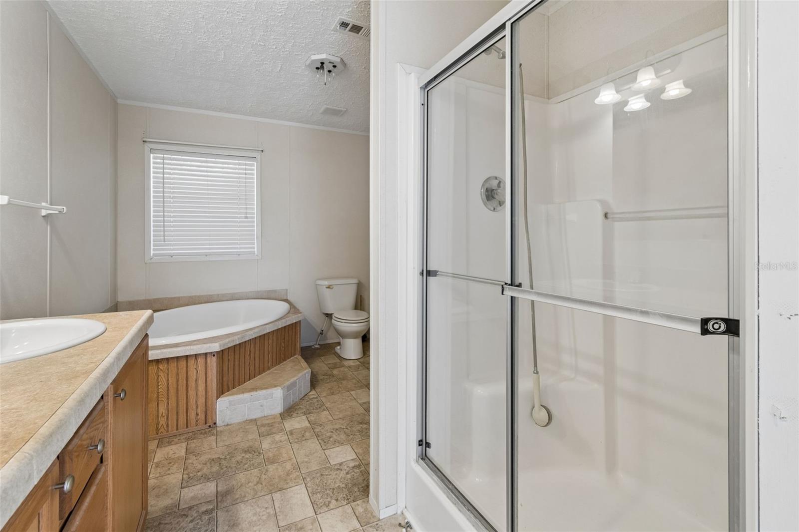 6735 RAVENWOOD ST, WESLEY CHAPEL, FL, 33544