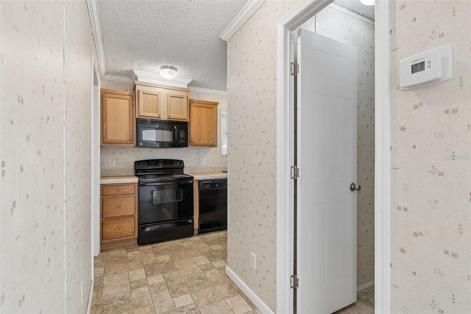6735 RAVENWOOD ST, WESLEY CHAPEL, FL, 33544