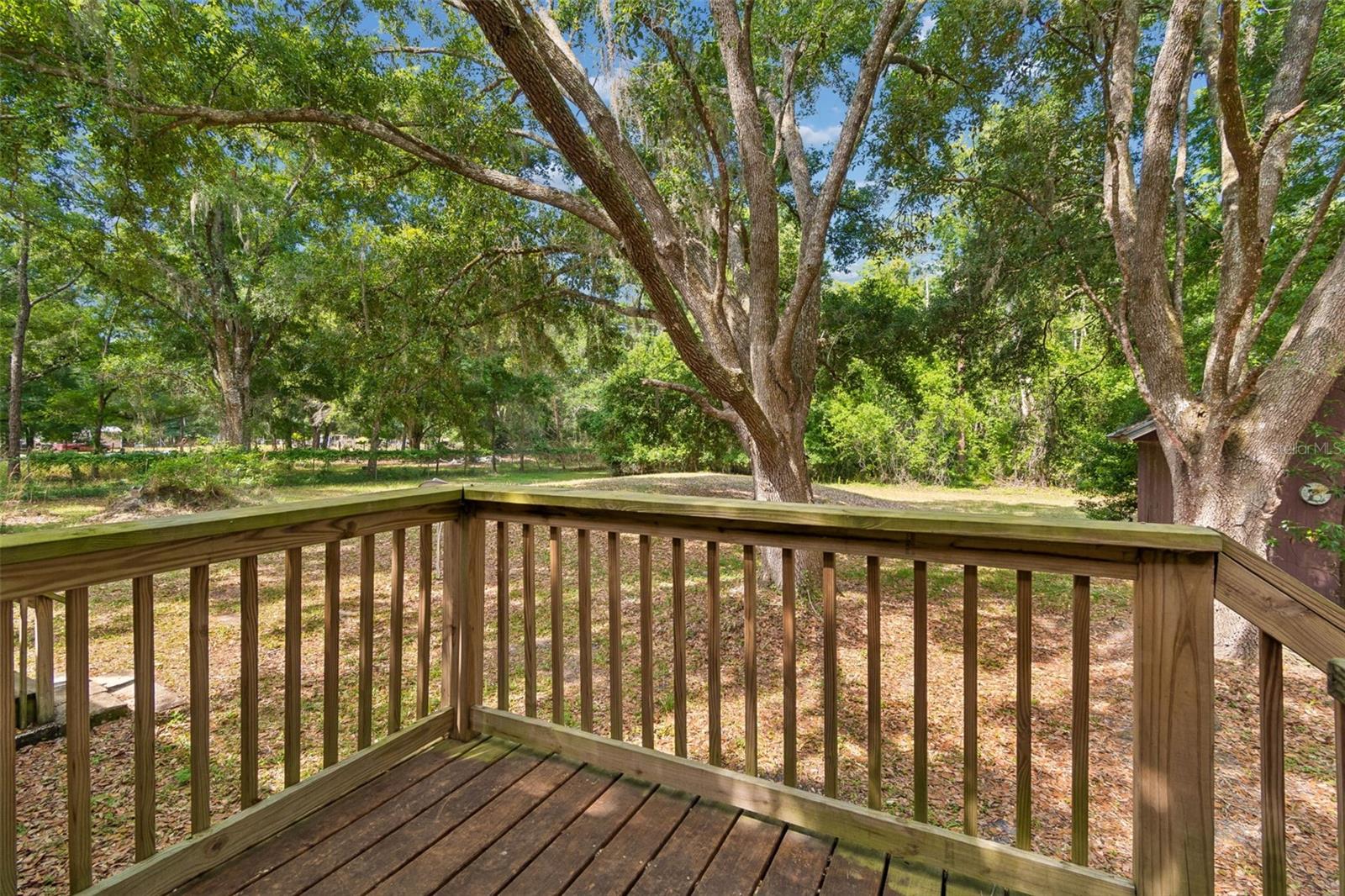 6735 RAVENWOOD ST, WESLEY CHAPEL, FL, 33544