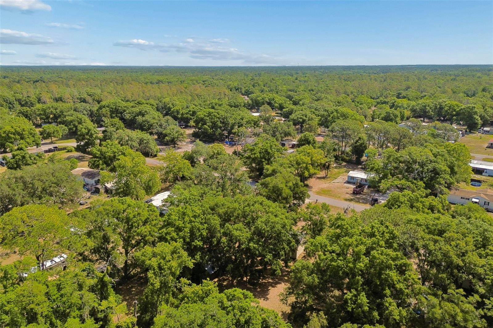 6735 RAVENWOOD ST, WESLEY CHAPEL, FL, 33544