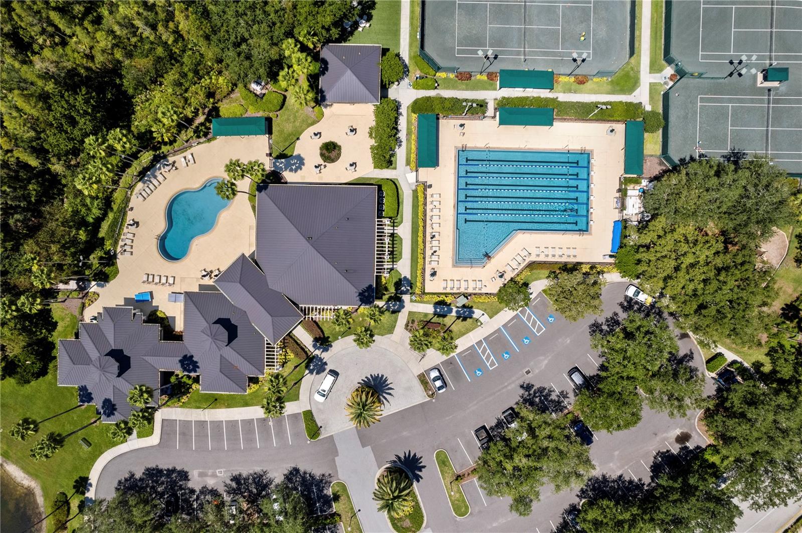 10235 ESTUARY DR, TAMPA, FL, 33647