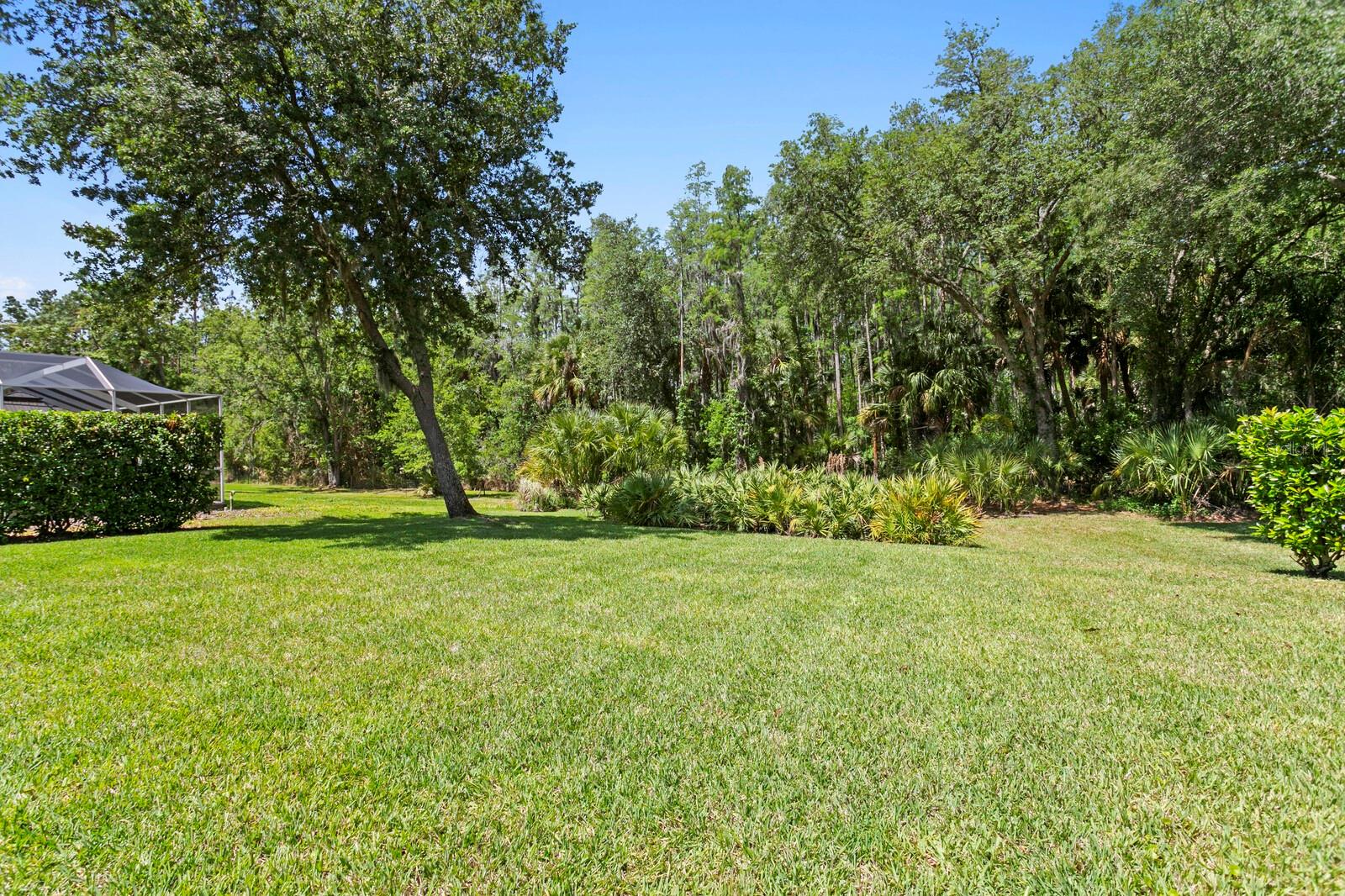 10235 ESTUARY DR, TAMPA, FL, 33647