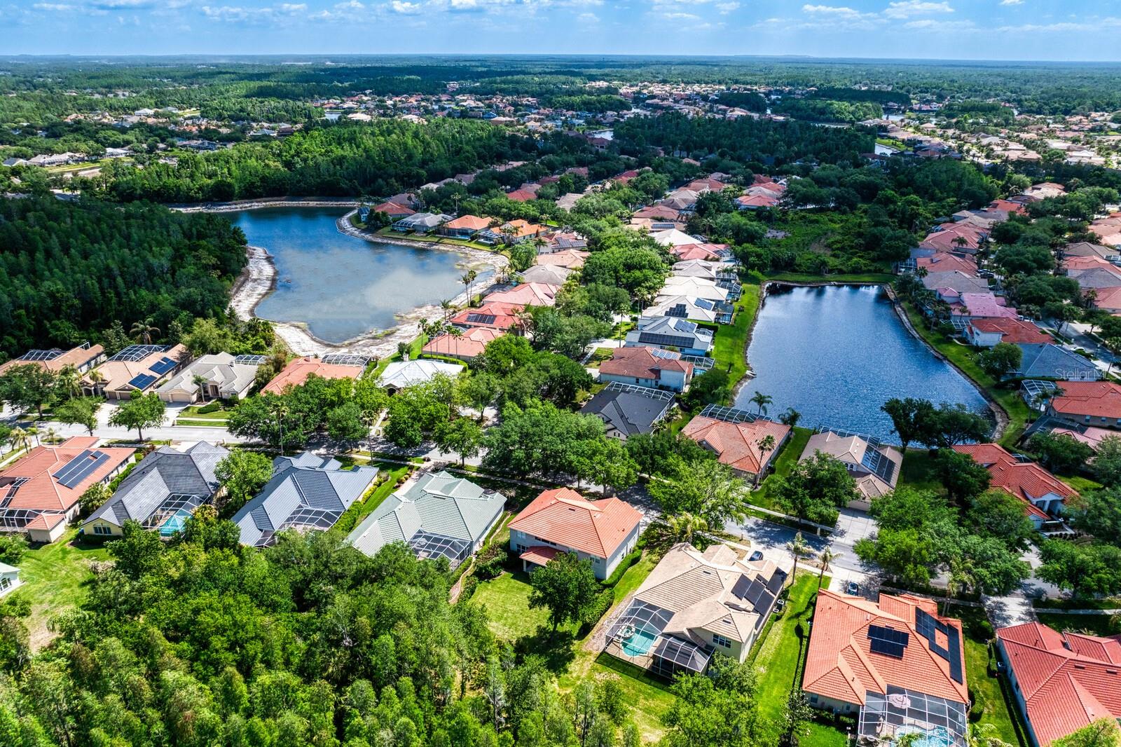 10235 ESTUARY DR, TAMPA, FL, 33647