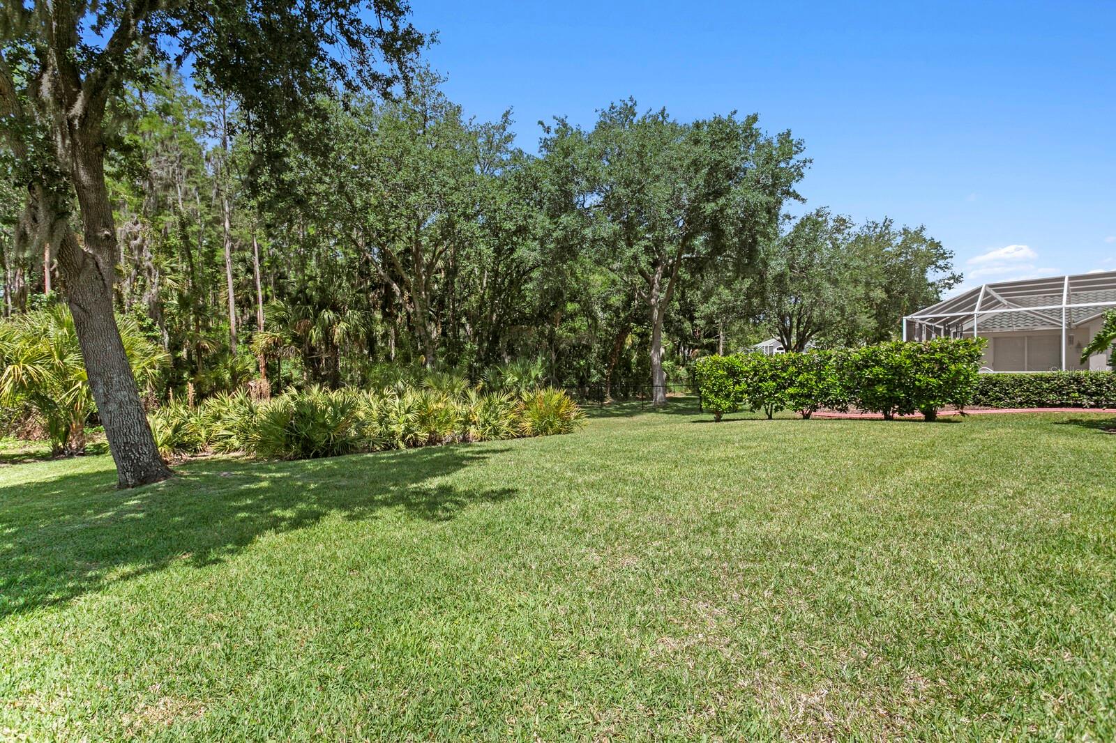 10235 ESTUARY DR, TAMPA, FL, 33647