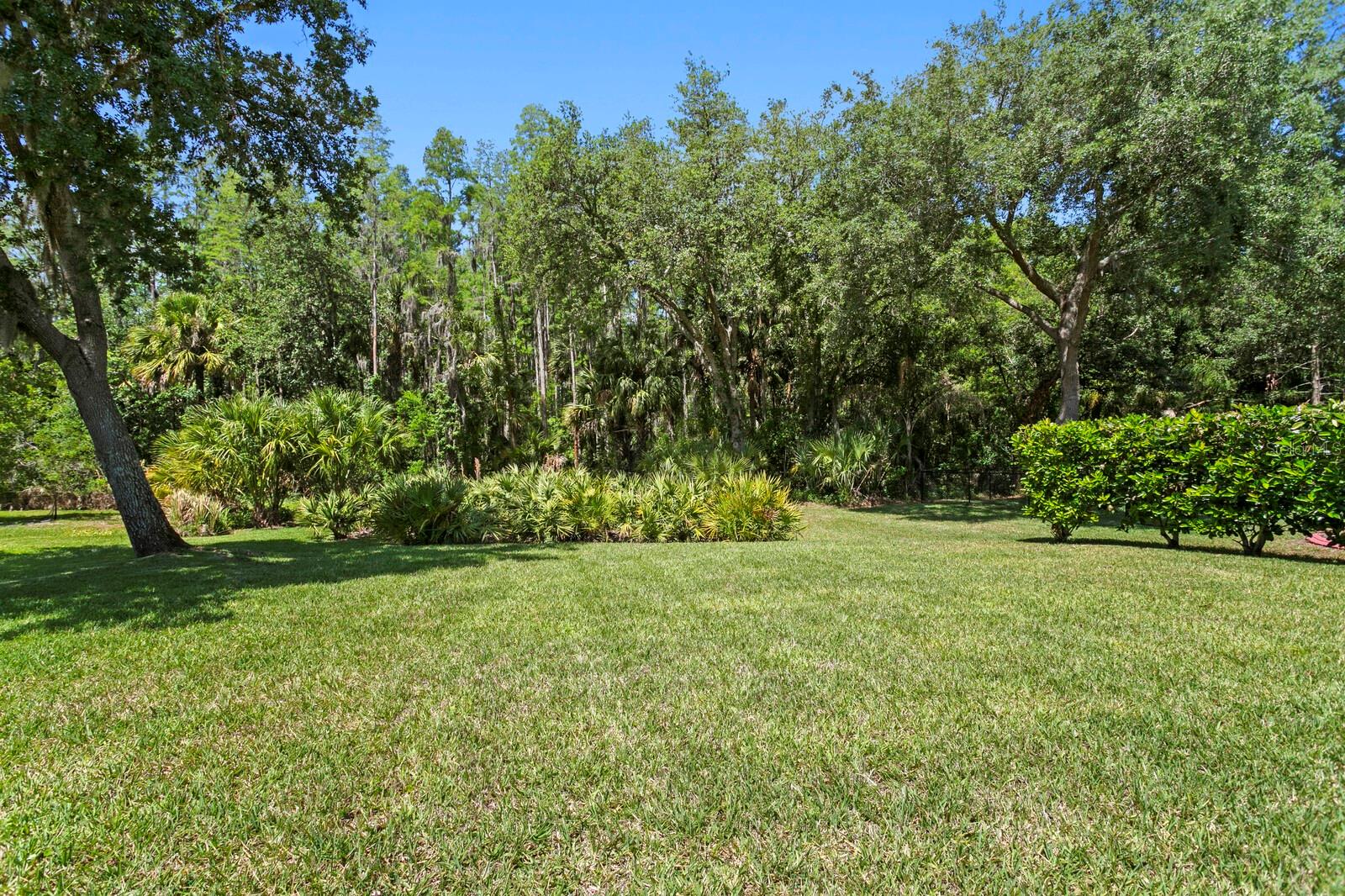 10235 ESTUARY DR, TAMPA, FL, 33647