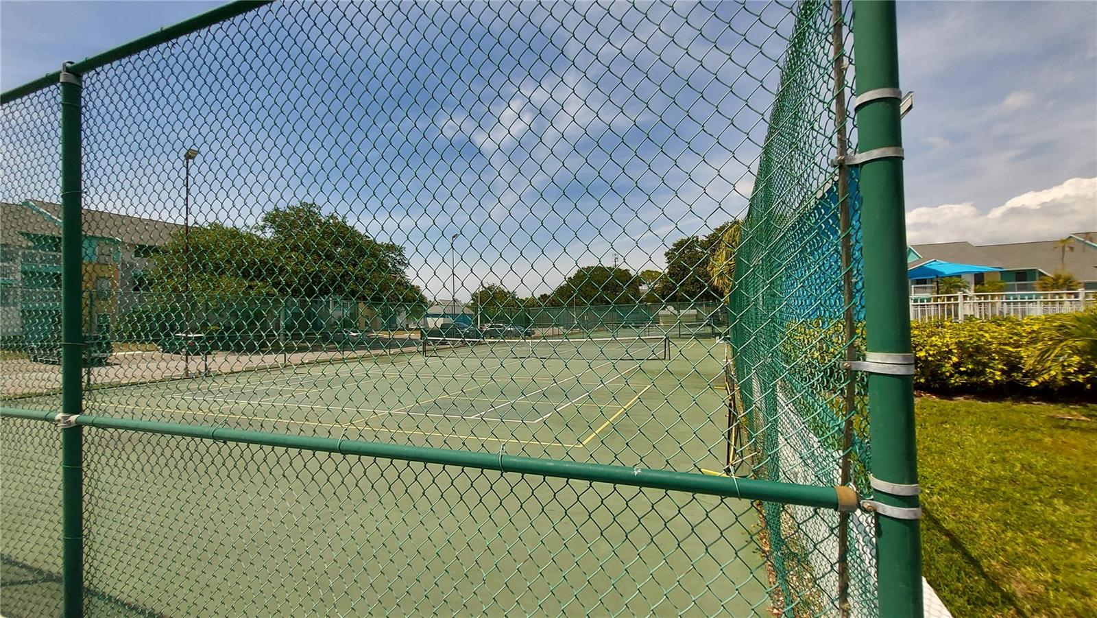 455 ALT 19 S #123, PALM HARBOR, FL, 34683