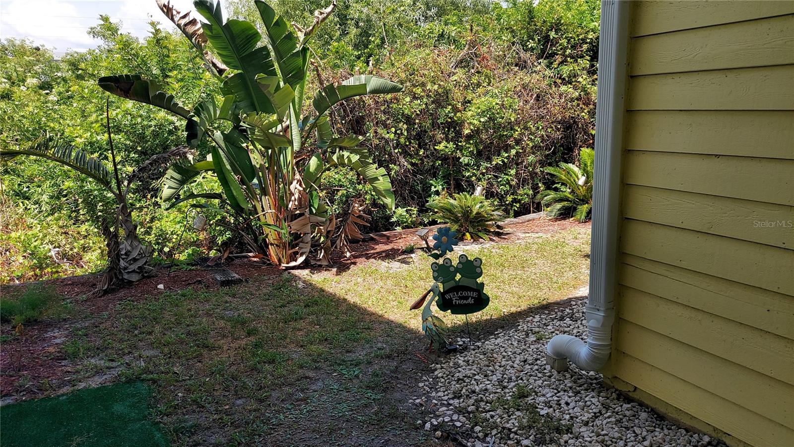 455 ALT 19 S #123, PALM HARBOR, FL, 34683