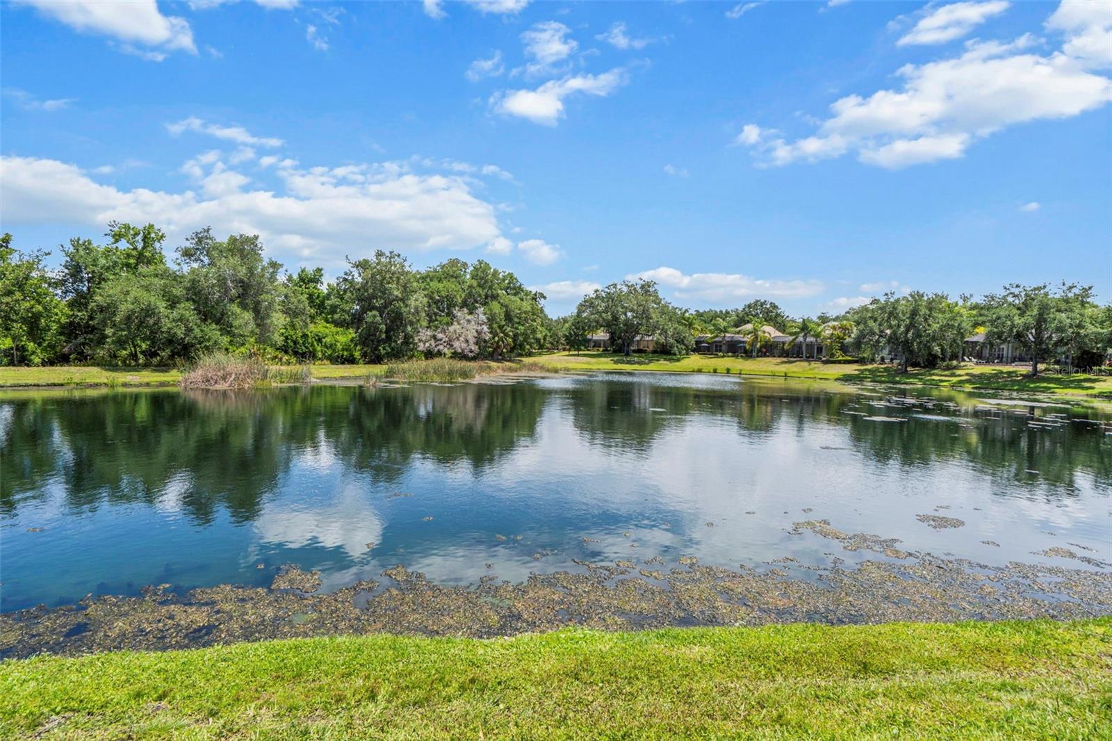 12037 THORNHILL CT, LAKEWOOD RANCH, FL, 34202