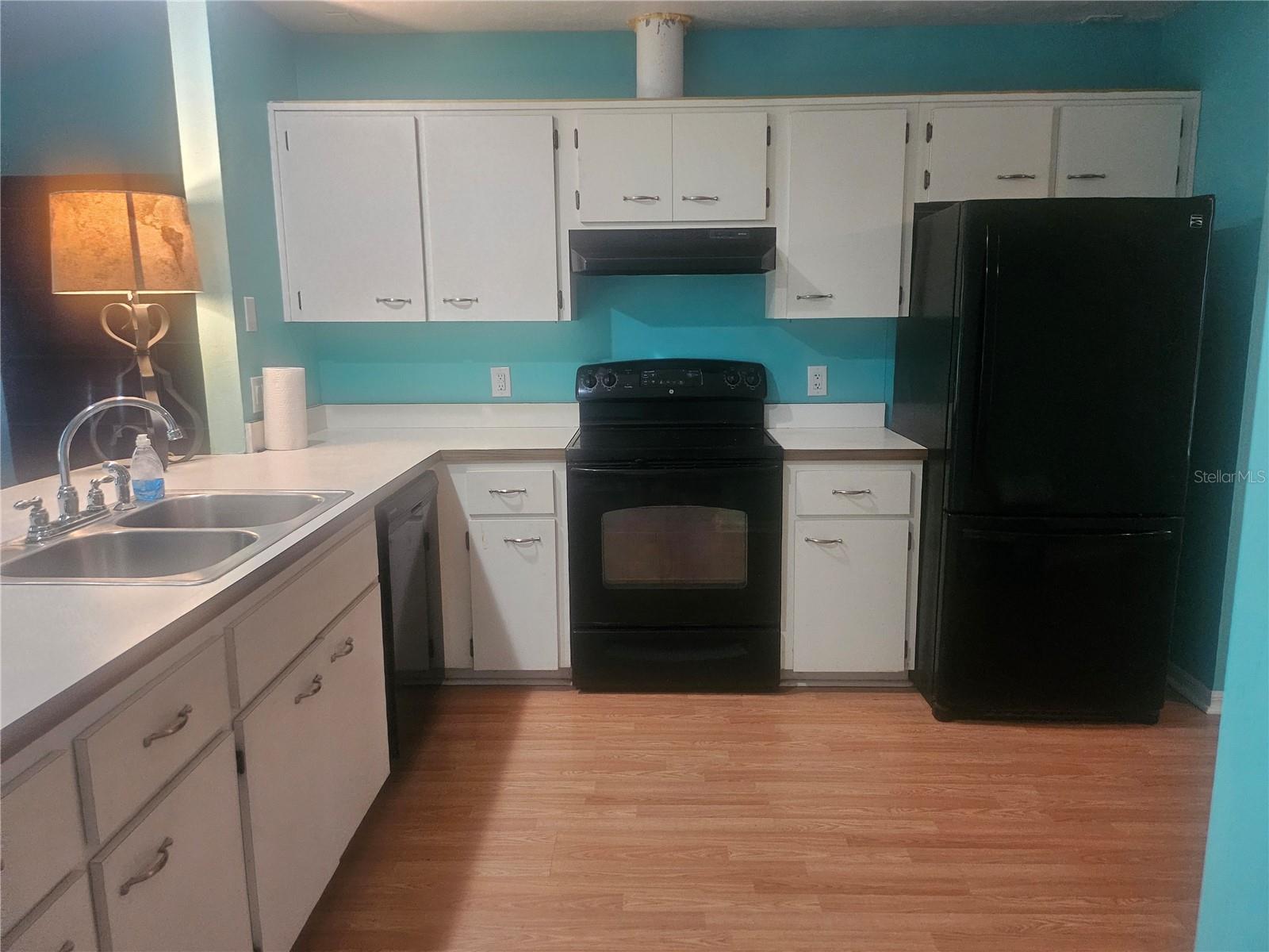 650 W DIAMONDBIRD LOOP #650, HERNANDO, FL, 34442