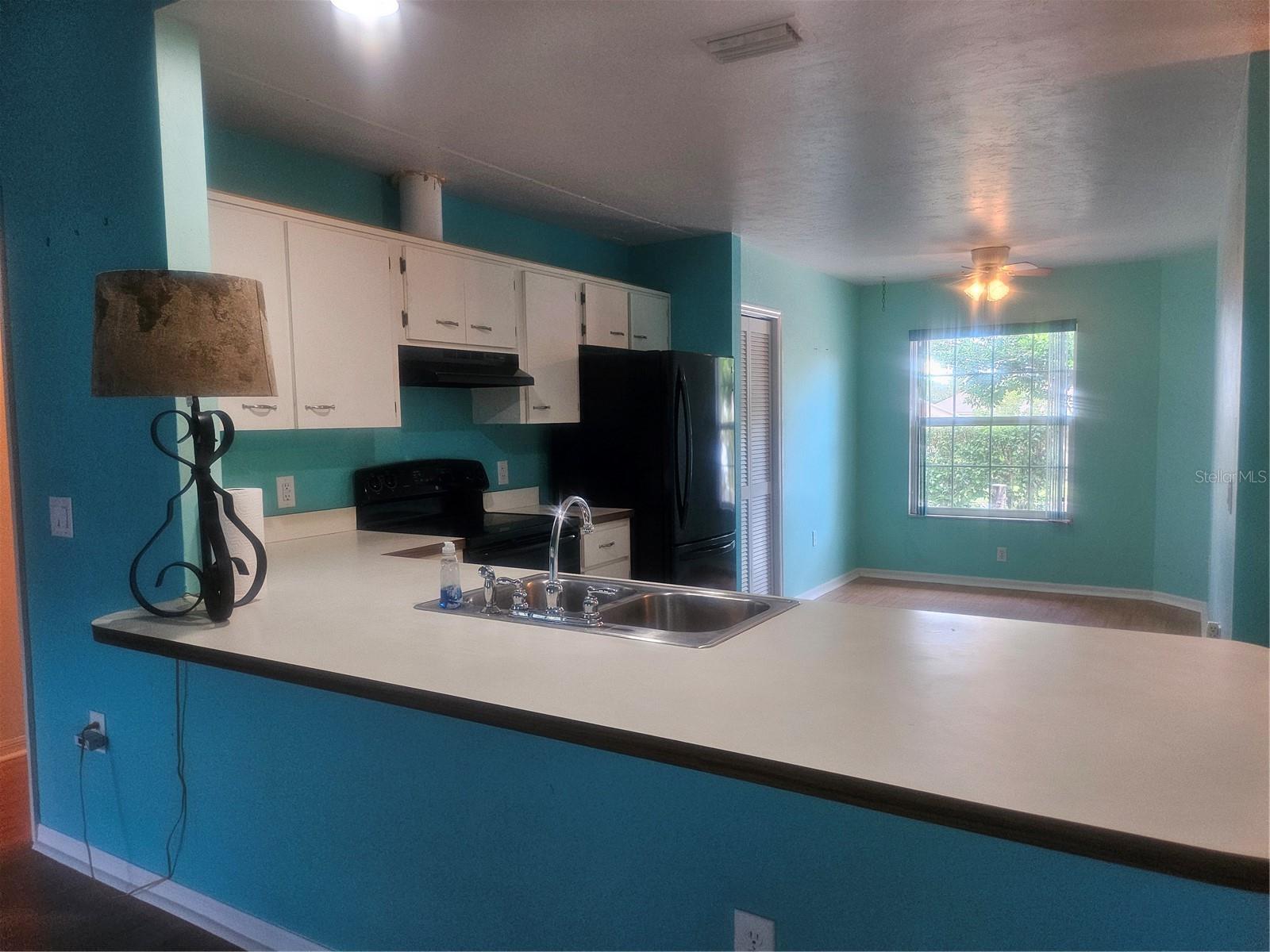 650 W DIAMONDBIRD LOOP #650, HERNANDO, FL, 34442